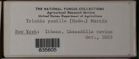 Image Associated With the Occurence